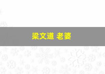 梁文道 老婆